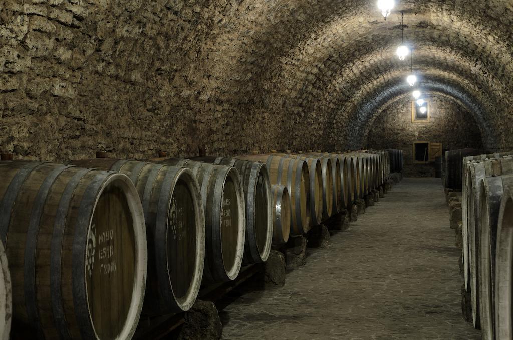 Prince Trubetskoi Winery Hotel Нова Каховка Екстериор снимка